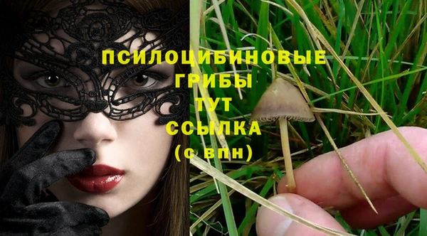 ешки Абинск
