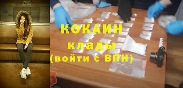 шишки Горнозаводск