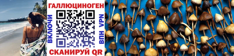 Галлюциногенные грибы Psilocybe  закладка  Тетюши 
