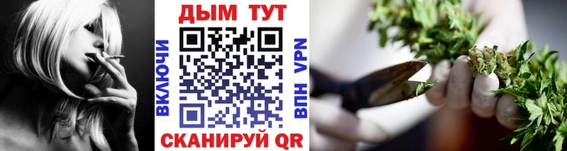 как найти наркотики  Тетюши  Шишки марихуана OG Kush 
